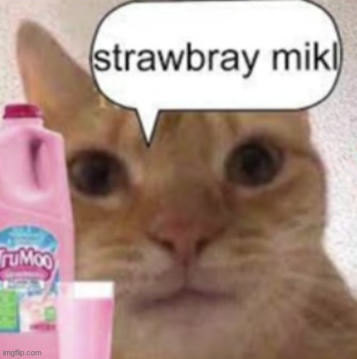 103 | image tagged in cat | made w/ Imgflip meme maker