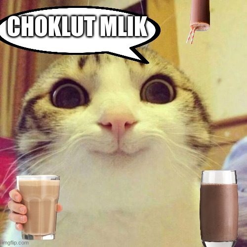 Smiling Cat Meme | CHOKLUT MLIK | image tagged in memes,smiling cat | made w/ Imgflip meme maker