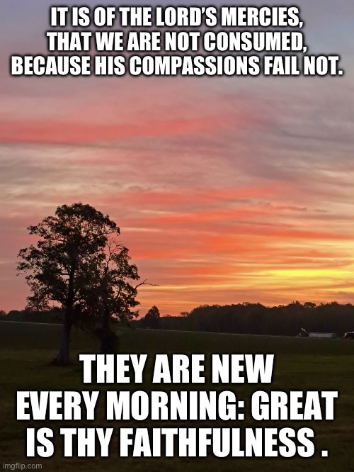 IT IS OF THE LORD’S MERCIES, THAT WE ARE NOT CONSUMED, BECAUSE HIS COMPASSIONS FAIL NOT. THEY ARE NEW EVERY MORNING: GREAT IS THY FAITHFULNESS . | image tagged in sunrise,scripture | made w/ Imgflip meme maker