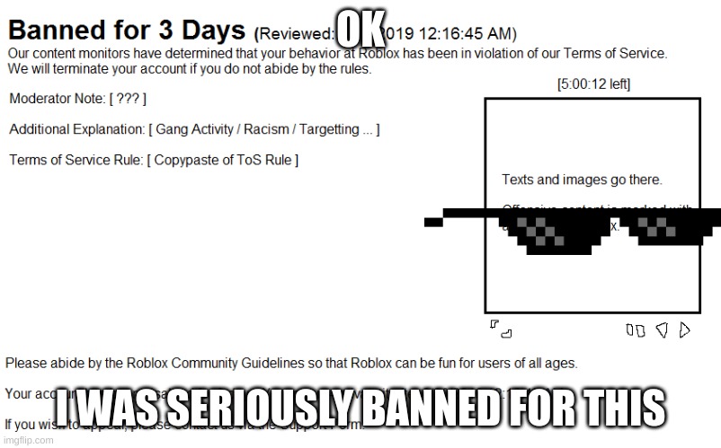 Roblox Warning | OK; I WAS SERIOUSLY BANNED FOR THIS | image tagged in roblox warning | made w/ Imgflip meme maker