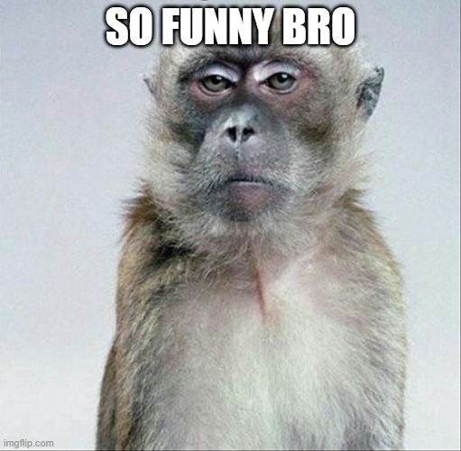 Blank face stare | SO FUNNY BRO | image tagged in blank face stare | made w/ Imgflip meme maker
