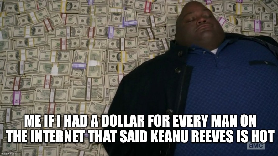 i'd be rich | ME IF I HAD A DOLLAR FOR EVERY MAN ON THE INTERNET THAT SAID KEANU REEVES IS HOT | image tagged in huell money breaking bad | made w/ Imgflip meme maker