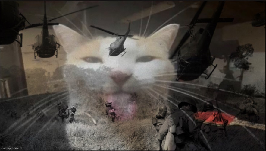 This cat is responsible for 36 war crimes in multiple countries | made w/ Imgflip meme maker