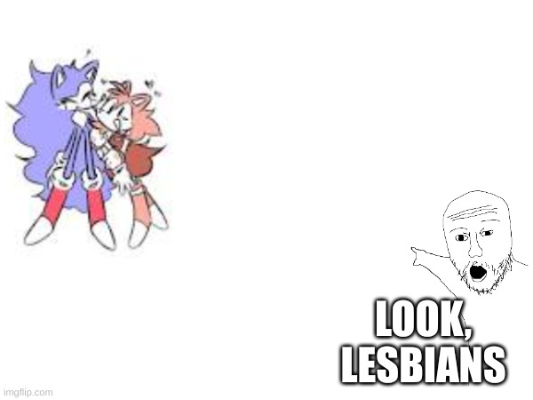 disclaimer: i'm not homophobic | LOOK, LESBIANS | image tagged in fnf,sonic exe,memes,gay,pride month | made w/ Imgflip meme maker