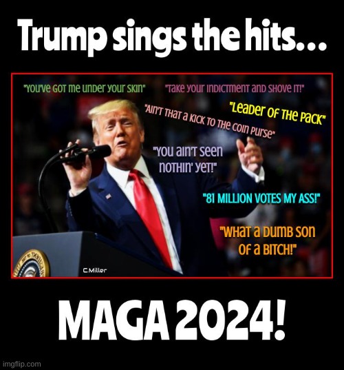 Rock on MAGANITES! | image tagged in donald trump,election 2020,trump 2020,politics,political | made w/ Imgflip meme maker