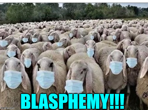 Sheeple | BLASPHEMY!!! | image tagged in sheeple | made w/ Imgflip meme maker