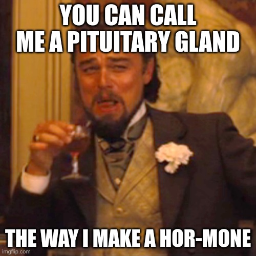 Endocrine Rizz | YOU CAN CALL ME A PITUITARY GLAND; THE WAY I MAKE A HOR-MONE | image tagged in memes,laughing leo | made w/ Imgflip meme maker