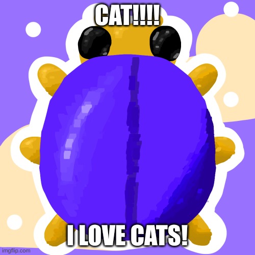 CAT!!!! I LOVE CATS! | made w/ Imgflip meme maker