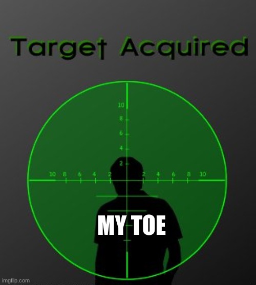 MY TOE | image tagged in target acquired | made w/ Imgflip meme maker