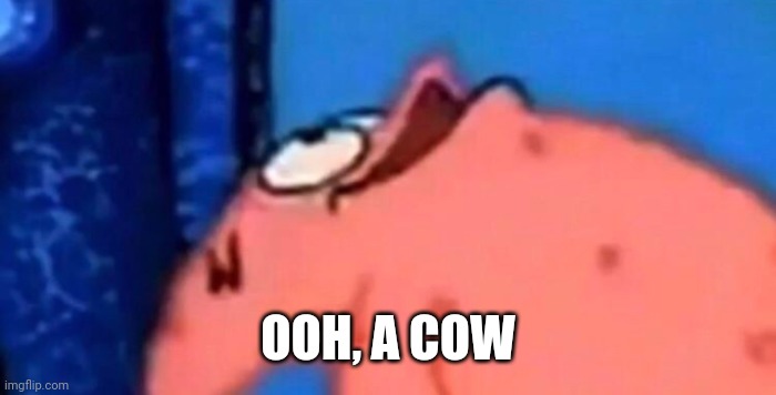 Patrick looking up | OOH, A COW | image tagged in patrick looking up | made w/ Imgflip meme maker