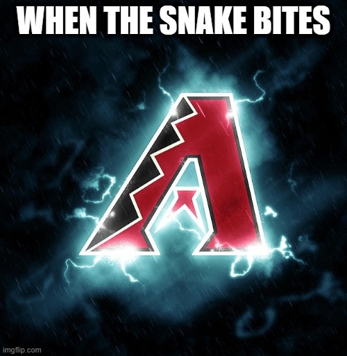 WHEN THE SNAKE BITES | made w/ Imgflip meme maker