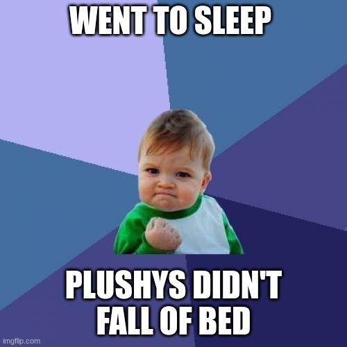 I throw my plushies off the bed sometimes | WENT TO SLEEP; PLUSHYS DIDN'T FALL OF BED | image tagged in memes,success kid | made w/ Imgflip meme maker