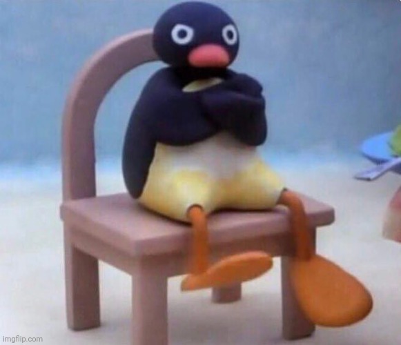noot noot | image tagged in noot noot | made w/ Imgflip meme maker
