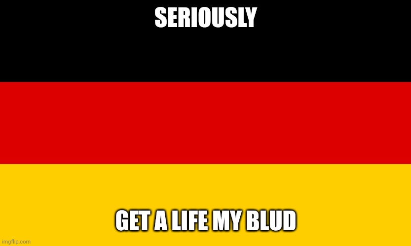 this is a message to my self (im really depressed and my father left to get milk) | SERIOUSLY; GET A LIFE MY BLUD | image tagged in germany,pro-fandom | made w/ Imgflip meme maker