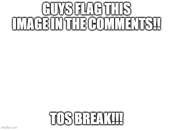 GUYS FLAG THIS IMAGE IN THE COMMENTS!! TOS BREAK!!! | made w/ Imgflip meme maker