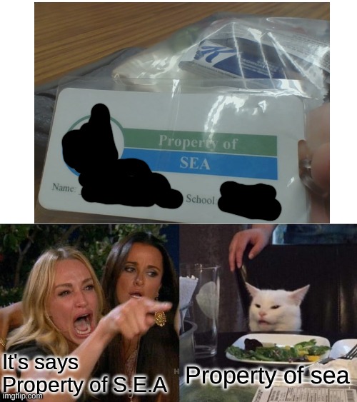 S.E.A. or sea | It's says Property of S.E.A; Property of sea | image tagged in memes,woman yelling at cat,school | made w/ Imgflip meme maker