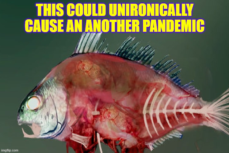 Fish Virus? did it exists? | THIS COULD UNIRONICALLY CAUSE AN ANOTHER PANDEMIC | image tagged in virus,fish | made w/ Imgflip meme maker