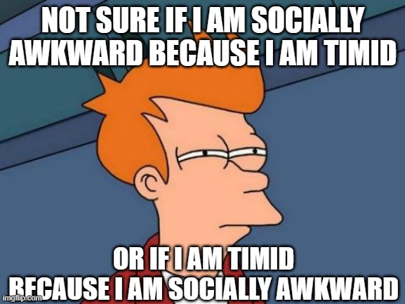 Futurama Fry Meme | NOT SURE IF I AM SOCIALLY AWKWARD BECAUSE I AM TIMID; OR IF I AM TIMID BECAUSE I AM SOCIALLY AWKWARD | image tagged in memes,futurama fry | made w/ Imgflip meme maker