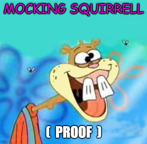 MOCKING SQUIRRELL (  PROOF  ) | image tagged in stupid | made w/ Imgflip meme maker