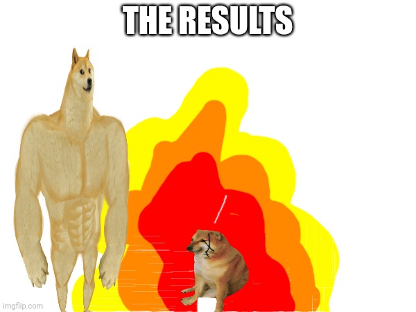 THE RESULTS | made w/ Imgflip meme maker