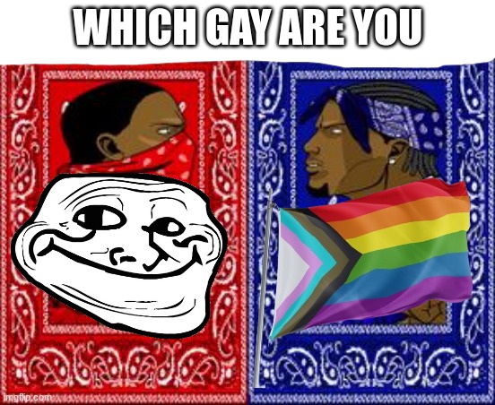 are you happy or homosexual | WHICH GAY ARE YOU | image tagged in which side are you on,this is a joke,offensive,funny i guess | made w/ Imgflip meme maker