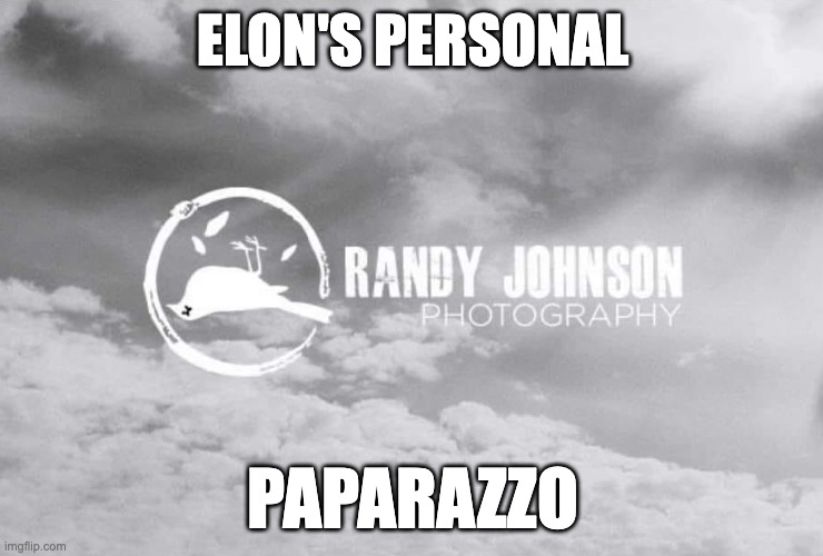 Elon's personal paparazzo | ELON'S PERSONAL; PAPARAZZO | image tagged in twitter,twitter birds says | made w/ Imgflip meme maker