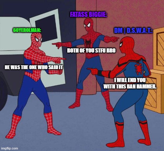 Arguing | FATASS BIGGIE:; 60YEROLMAN:; DM | D.S.W.A.T.:; BOTH OF YOU STFU BRO; HE WAS THE ONE WHO SAID IT; I WILL END YOU WITH THIS BAN HAMMER. | image tagged in spider man triple | made w/ Imgflip meme maker