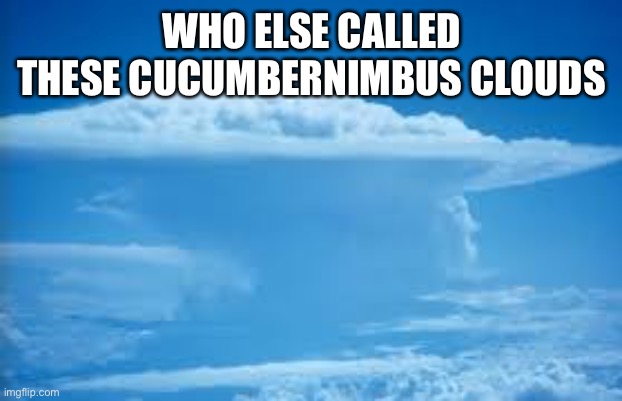Cucumbernimbus | WHO ELSE CALLED THESE CUCUMBERNIMBUS CLOUDS | image tagged in lol | made w/ Imgflip meme maker