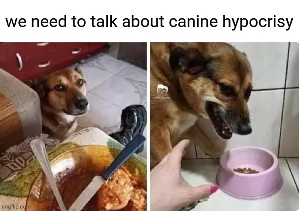 Yeah | we need to talk about canine hypocrisy | image tagged in chipotle | made w/ Imgflip meme maker
