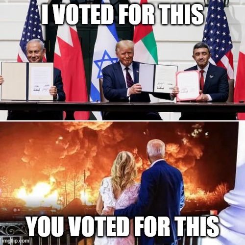Conservative vs liberal | I VOTED FOR THIS; YOU VOTED FOR THIS | image tagged in political meme,truth,funny memes,stupid liberals,israel,palestine | made w/ Imgflip meme maker