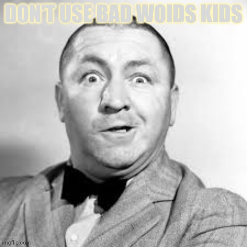 curly three stooges | DON'T USE BAD WOIDS KIDS | image tagged in curly three stooges | made w/ Imgflip meme maker
