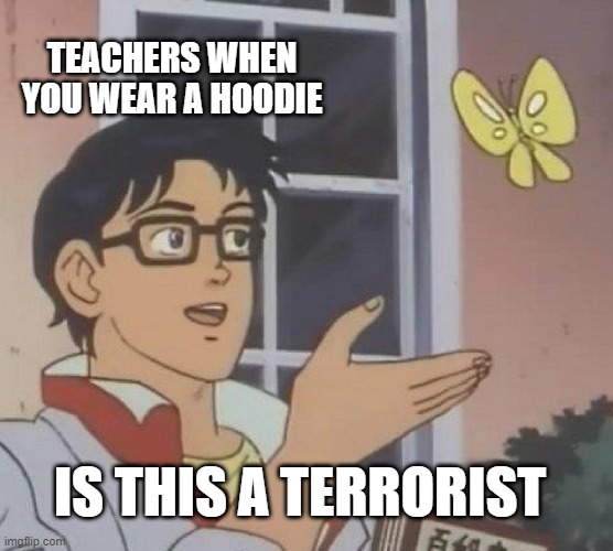 MEME IG | TEACHERS WHEN YOU WEAR A HOODIE; IS THIS A TERRORIST | image tagged in memes,is this a pigeon | made w/ Imgflip meme maker