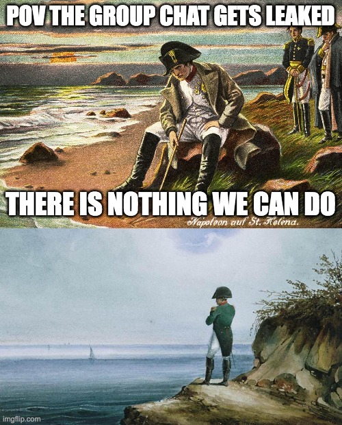 POV THE GROUP CHAT GETS LEAKED; THERE IS NOTHING WE CAN DO | image tagged in there is nothing we can do,napoleon theres nothing we can do | made w/ Imgflip meme maker