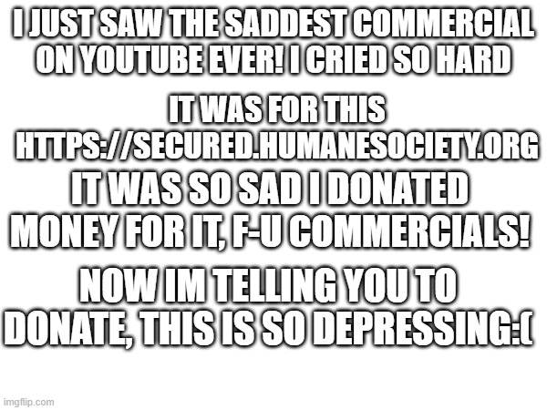 omg it's so sad u should've watched it. | I JUST SAW THE SADDEST COMMERCIAL ON YOUTUBE EVER! I CRIED SO HARD; IT WAS FOR THIS HTTPS://SECURED.HUMANESOCIETY.ORG; IT WAS SO SAD I DONATED MONEY FOR IT, F-U COMMERCIALS! NOW IM TELLING YOU TO DONATE, THIS IS SO DEPRESSING:( | image tagged in commercials,sad | made w/ Imgflip meme maker