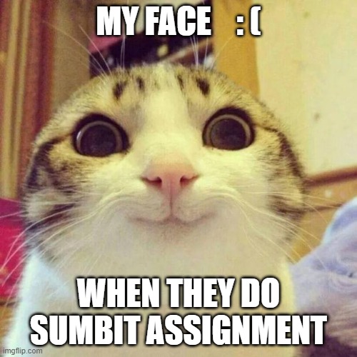 Smiling Cat Meme | MY FACE    : (; WHEN THEY DO SUMBIT ASSIGNMENT | image tagged in memes,smiling cat,teachers | made w/ Imgflip meme maker