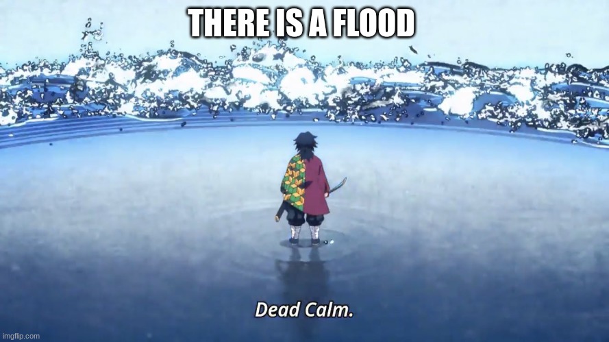 Demon Slayer Giyuu | THERE IS A FLOOD | image tagged in demon slayer giyuu | made w/ Imgflip meme maker