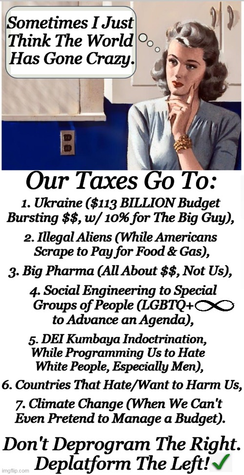 Americans Should Not Be Placed Last | Sometimes I Just 
Think The World 
Has Gone Crazy. Our Taxes Go To:; 1. Ukraine ($113 BILLION Budget 
Bursting $$, w/ 10% for The Big Guy), 2. Illegal Aliens (While Americans 
Scrape to Pay for Food & Gas), 3. Big Pharma (All About $$, Not Us), 4. Social Engineering to Special 
Groups of People (LGBTQ+       
to Advance an Agenda), 5. DEI Kumbaya Indoctrination, 
While Programming Us to Hate 
White People, Especially Men), 6. Countries That Hate/Want to Harm Us, 7. Climate Change (When We Can't 
Even Pretend to Manage a Budget). Don't Deprogram The Right.
Deplatform The Left! | image tagged in politics,taxes,americans,illegals,ukraine,political humor | made w/ Imgflip meme maker