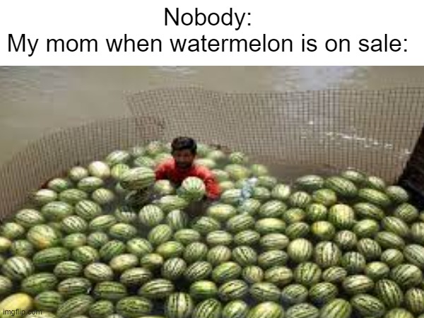 Nobody:
My mom when watermelon is on sale: | image tagged in my mom,when,watermelon,is,on sale | made w/ Imgflip meme maker