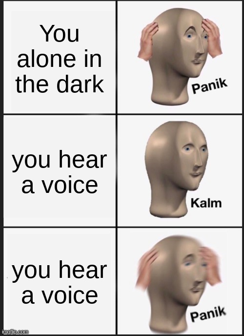 Panik Kalm Panik Meme | You alone in the dark; you hear a voice; you hear a voice | image tagged in memes,panik kalm panik | made w/ Imgflip meme maker