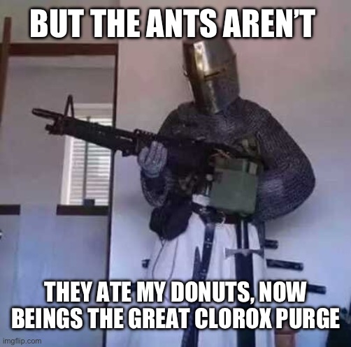 Crusader knight with M60 Machine Gun | BUT THE ANTS AREN’T THEY ATE MY DONUTS, NOW BEINGS THE GREAT CLOROX PURGE | image tagged in crusader knight with m60 machine gun | made w/ Imgflip meme maker