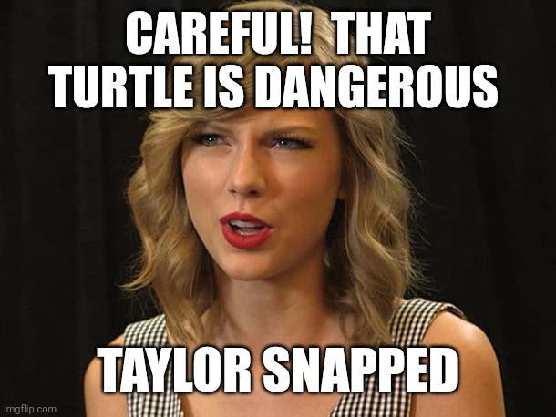 Taylor snapped | CAREFUL!  THAT TURTLE IS DANGEROUS; TAYLOR SNAPPED | image tagged in taylor swiftie | made w/ Imgflip meme maker