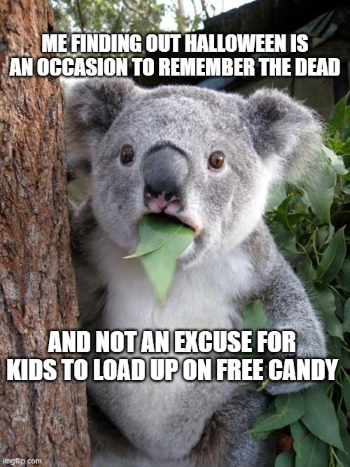 Surprised Koala Meme | ME FINDING OUT HALLOWEEN IS AN OCCASION TO REMEMBER THE DEAD; AND NOT AN EXCUSE FOR KIDS TO LOAD UP ON FREE CANDY | image tagged in memes,surprised koala | made w/ Imgflip meme maker