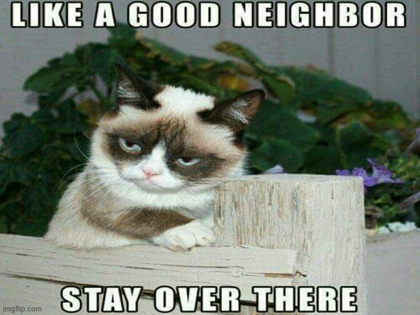 good neighbor tactics | image tagged in neighbors,good,cat,grumpy cat | made w/ Imgflip meme maker