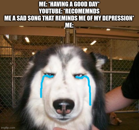 Annoyed Dog | ME: *HAVING A GOOD DAY*
YOUTUBE: *RECOMEMNDS ME A SAD SONG THAT REMINDS ME OF MY DEPRESSION*
ME: | image tagged in annoyed dog | made w/ Imgflip meme maker
