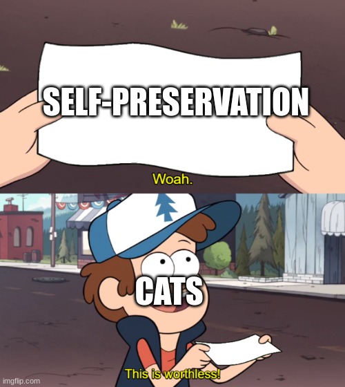 Cats be like: | SELF-PRESERVATION; CATS | image tagged in woah this is worthless | made w/ Imgflip meme maker