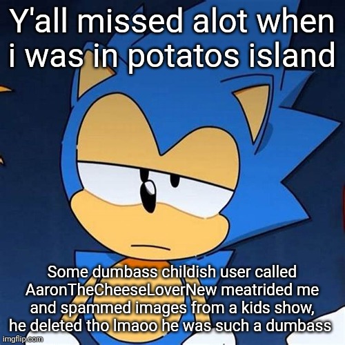 bruh | Y'all missed alot when i was in potatos island; Some dumbass childish user called AaronTheCheeseLoverNew meatrided me and spammed images from a kids show, he deleted tho lmaoo he was such a dumbass | image tagged in bruh | made w/ Imgflip meme maker