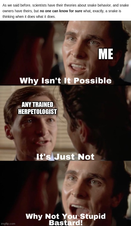 i must know | ME; ANY TRAINED HERPETOLOGIST | image tagged in why isn't it possible | made w/ Imgflip meme maker