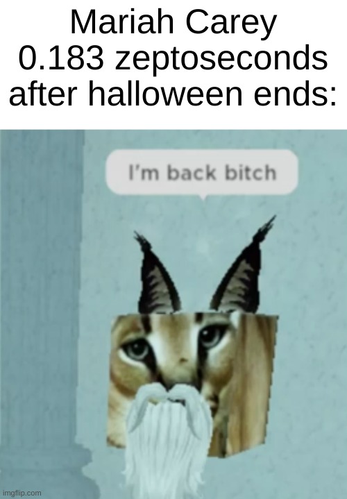 Mariah Carey 0.183 zeptoseconds after halloween ends: | image tagged in im back b tch | made w/ Imgflip meme maker