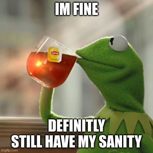 But That's None Of My Business | IM FINE; DEFINITLY STILL HAVE MY SANITY | image tagged in memes,but that's none of my business,kermit the frog,meme | made w/ Imgflip meme maker