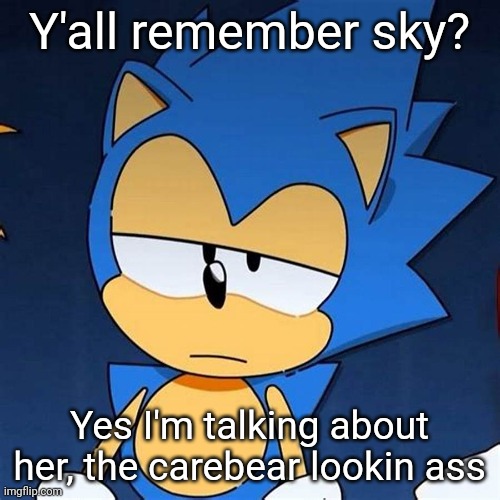 bruh | Y'all remember sky? Yes I'm talking about her, the carebear lookin ass | image tagged in bruh | made w/ Imgflip meme maker